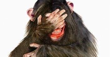 Linkspartei (Flensburg) fordert: Gendergerechte Namen für Bürogegenstände! – Vorsicht, Satire!!!! picture alliance / Ikon Images