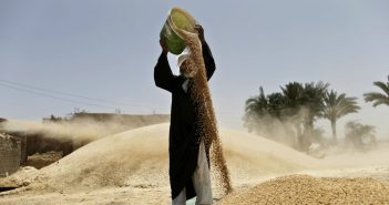 Ägypten: IWF will Brotsubventionen streichen – provoziert Mega-Flüchtlingswelle!