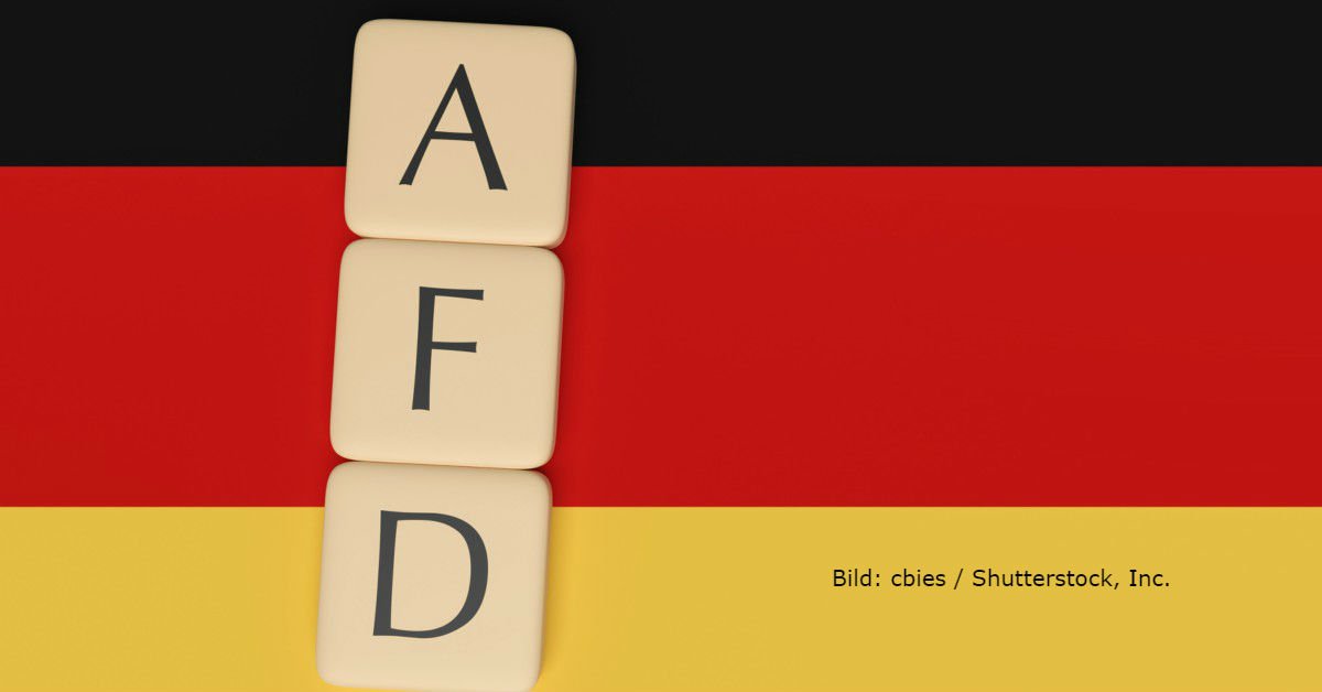 AfD Fahne