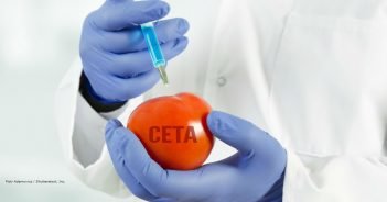 Willkommen im „provisorischen“ CETA-Land…