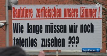 Wahnsinn: Grüner plant Antirechts-Demo nach Massenvergewaltigung in Freiburg