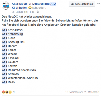 netzdg facebook afd