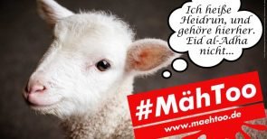 #Mäh Too – Ritualkritisches Hashtag sorgt für Nazi-Vorwürfe