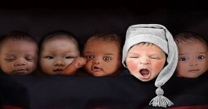 Das stille Sterben unseres Volkes: Zahlen und Fakten