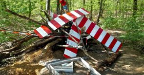 Hambacher Forst – Die grüne Doppelmoral