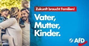 Das 10%-Desaster: Warum die AfD in Bayern versagte