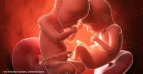 Kindertötung mit Altersgrenze: Lebens- und Naturschutz