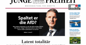 Kampagne gegen Höcke zusammengebrochen. Alice Weidel sichert dem Thüringer Fairness zu. Aber was ist mit Gauland los?