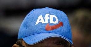 Vorsicht, Feindzeugen! Verfassungsschutz-Zuträger in der AfD