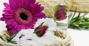 Stress – das schleichende Gift Stress - das schleichende Gift