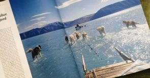 Mit Bildern lügen: Das Schlittenhundfoto aus Grönland und seine Hintergründe