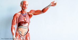 Verbrennt Eure Organspendeausweise!
