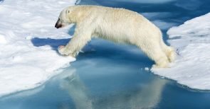 Kommt die Eiszeit zurück?