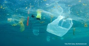 Krieg gegen Plastik – doch wie steht es um die Alternativen?