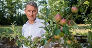 «Das ist ein asozialer Politikansatz»: von Björn Höcke