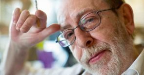 «Ökologie ist konservativ»: Alain de Benoist im Interview