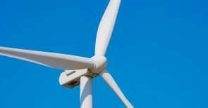 Altmaier (CDU) dreht durch: Artenschutz soll für Windräder gestrichen werden – Adler bald nur noch im Zoo?