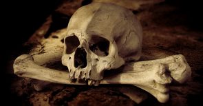 Bruderschaft des Todes: Der Geheimorden Skull & Bones