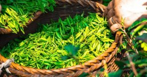 Alzheimer und andere Erkrankungen wirkungsvoll und natürlich bekämpfen Alzheimer und andere Erkrankungen wirkungsvoll und natürlich bekämpfen