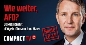 Nach der Selbstauflösung des „Flügels“: Wie weiter, AfD?