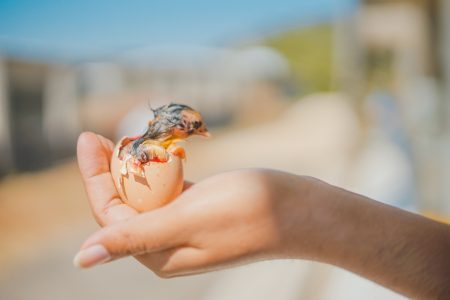 Müdes Deutschland: Schlafstörungen steigen deutlich