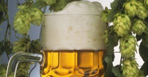 Zurück zum echten deutschen Bier!
