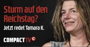 Kontrovers: „Sturm auf den Reichstag“ – Was steckt dahinter? Jürgen Elsässer befragt Tamara K. (Video)