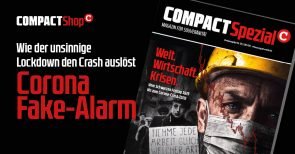 Corona-Fake-Alarm: So löst der idiotische Lockdown den Crash aus