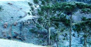 Zitat des Tages: Kältewelle bringt Schnee nach Brasilien