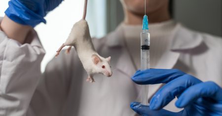 Zitat des Tages: Mann und Maus an die Nadel