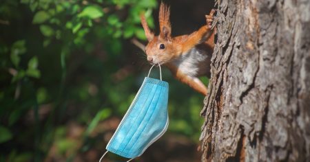 Zitat des Tages: Masken töten Wildtiere