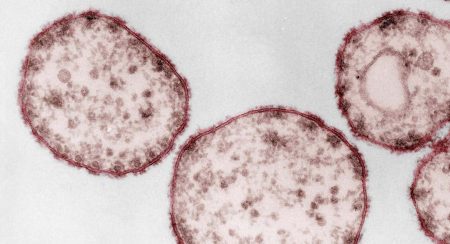 1000 Lügen und ein Todesfall: Erinnerungen an die Masern-Impfpflicht