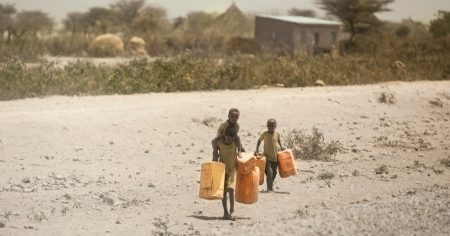 Experte: Wir stehen vor einer „der größten Hungersnöte der Menschheitsgeschichte“
