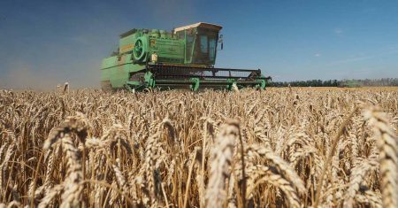 Die Hungermacher: Weltweite Not durch Russland-Sanktionen