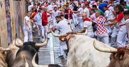 Foto des Monats August