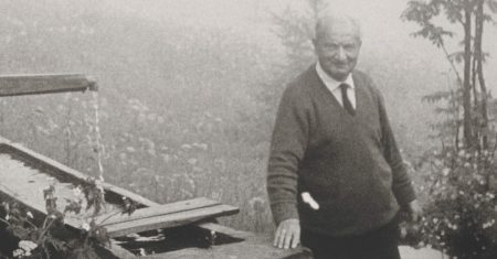 Der linke Heidegger