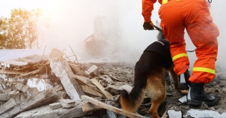 Katastrophen: Wann kommen sie – und was tun?