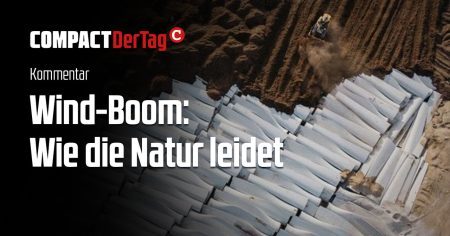 Windrad-Boom: Wie die Natur darunter leidet