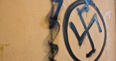 Schon wieder: Grüner mit Hakenkreuz-Fake