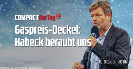 Gaspreis-Deckel: Habeck beraubt uns