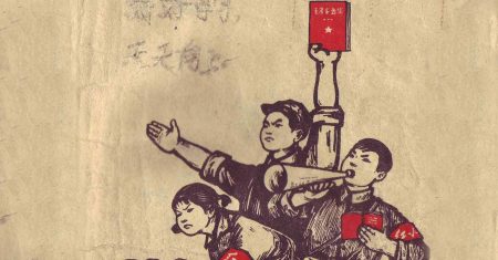 Sellners Revolution _ Die Mao-Formel
