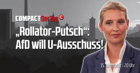 „Rollator-Putsch“: AfD will U-Ausschuss! „Rollator-Putsch“: AfD will U-Ausschuss!