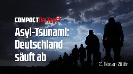 Asyl-Tsunami: Deutschland säuft ab