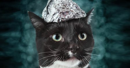 BRD-Sprech: Verschwörungstheoretiker