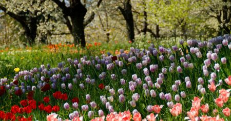 Globale Erwärmung als Chance für die Menschheit