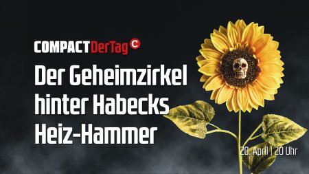 Der Geheimzirkel hinter Habecks Heiz-Hammer