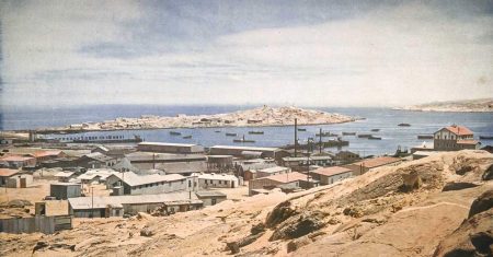 Hart wie Kameldornholz