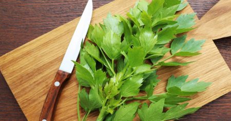 Liebstöckel statt Maggi – gesund und günstig