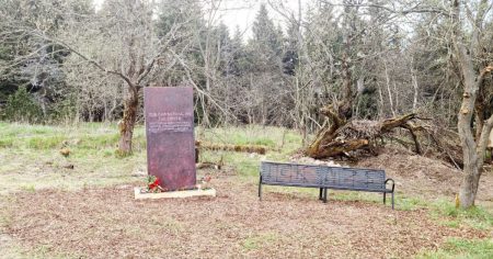 Antifa beschmiert Gedenkstein für Impf-Opfer