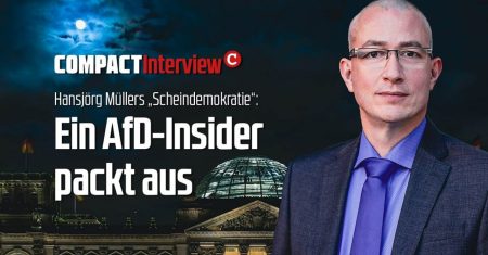 Interview: Ein AfD-Insider packt aus